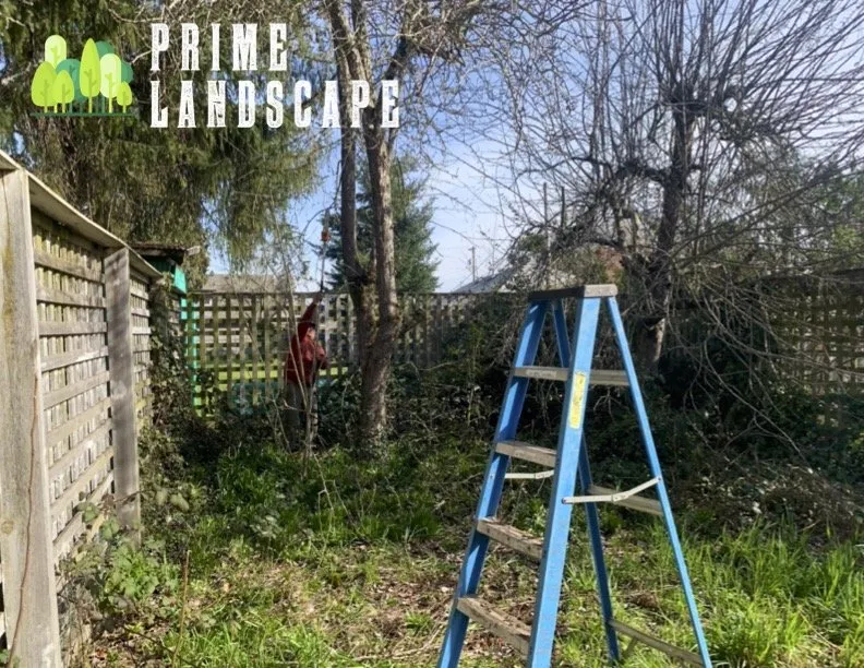 Custom landscape design in Salem, OR by Prime Landscape Services