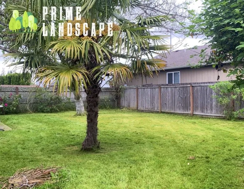 Affordable outdoor landscaping experts serving Salem, OR - Prime Landscape Services