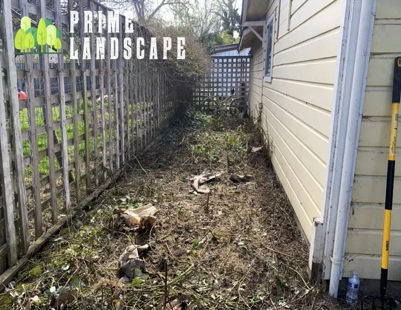 Top-rated lawn care service for outdoor upgrades across Salem, OR - Prime Landscape Services