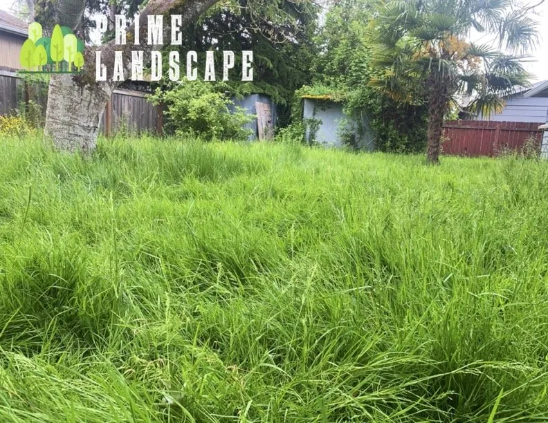 Top-rated outdoor landscaping experts serving Salem, OR - Prime Landscape Services