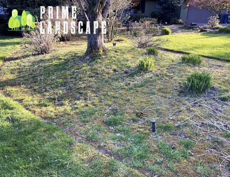 Trusted garden landscaping in Salem, OR - Prime Landscape Services