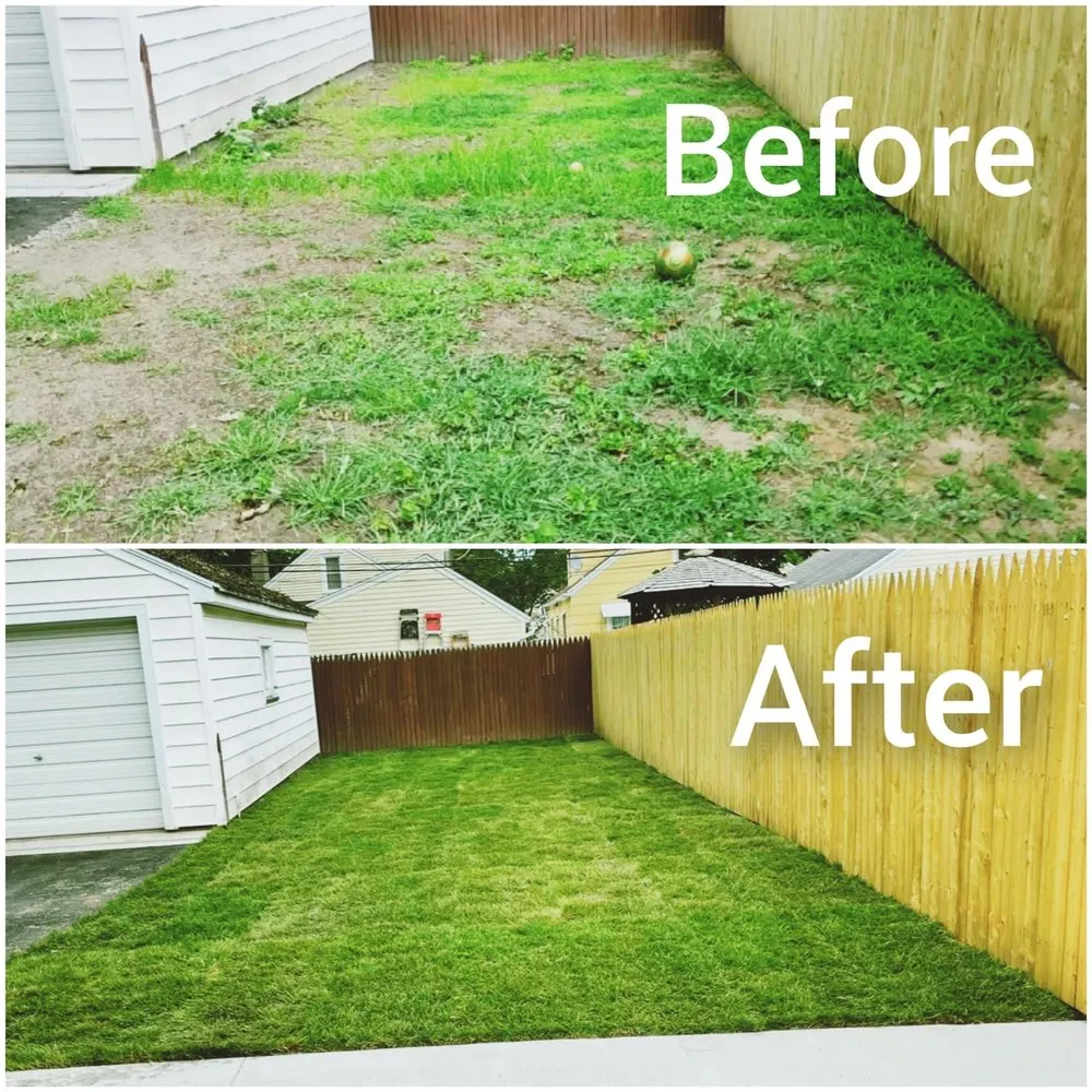 Top-rated lawn care service experts serving Buffalo, NY - Prime Landscaping