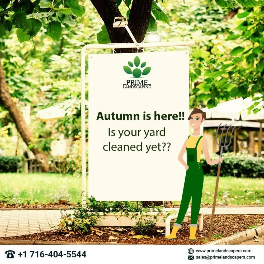 Affordable yard maintenance for outdoor upgrades across Buffalo, NY - Prime Landscaping