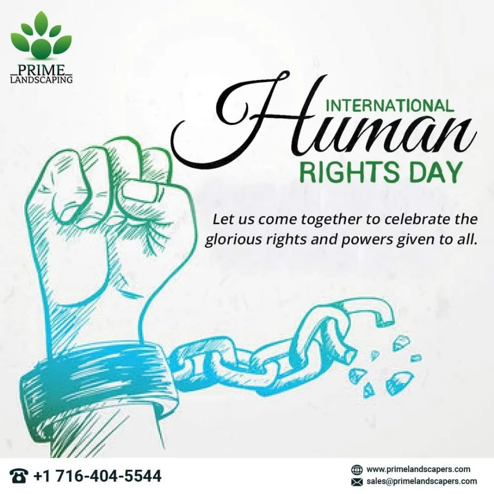 Top-rated outdoor landscaping for residential properties across Buffalo, NY - Prime Landscaping