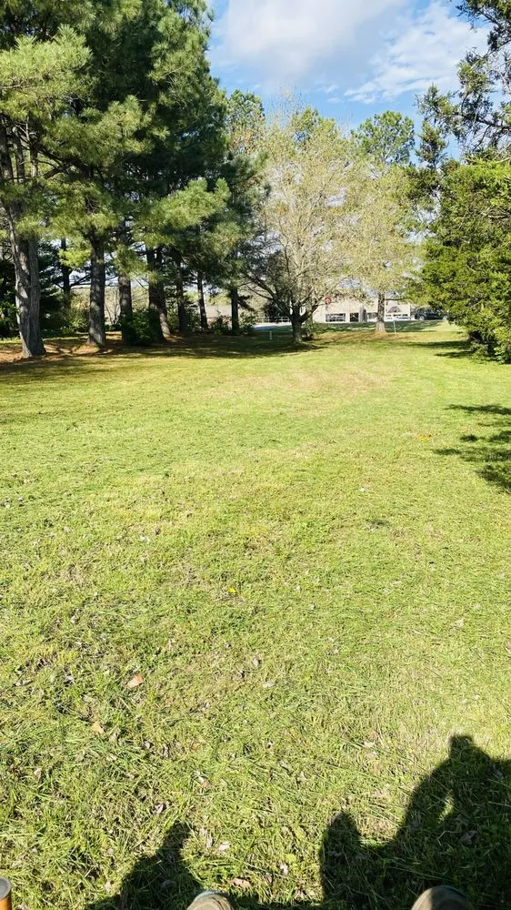 Custom outdoor landscaping in Springdale, AR by Prime Landscaping