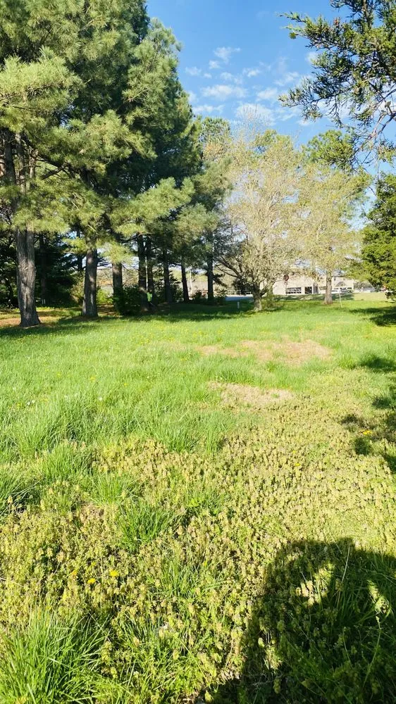 Expert yard maintenance with custom design across Springdale, AR - Prime Landscaping