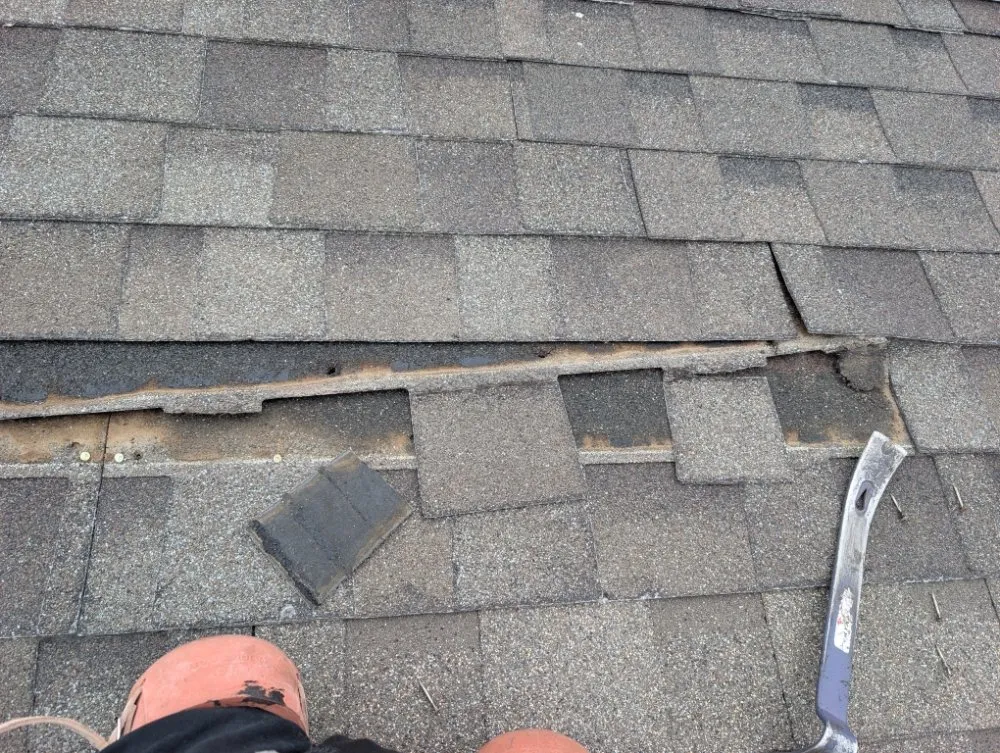 Local lawn care service in Kennewick, WA - Prime Lawn & Home