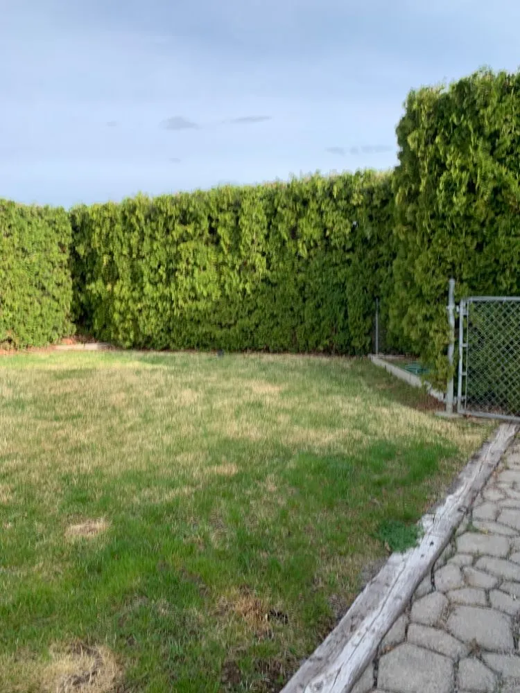 Local lawn care service in Kennewick, WA by Prime Lawn & Home