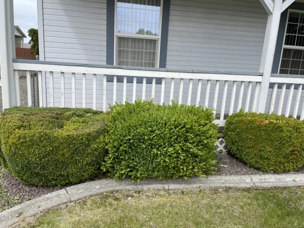 Reliable landscape design in Kennewick, WA - Prime Lawn & Home