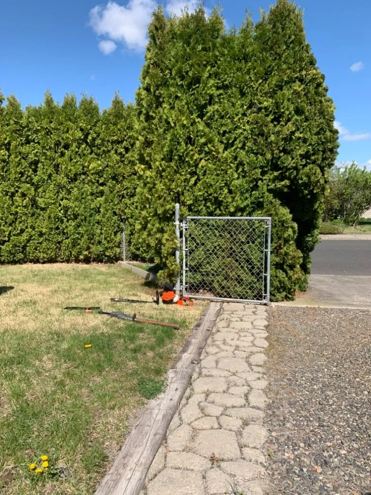 Affordable lawn care service for outdoor upgrades across Kennewick, WA - Prime Lawn & Home