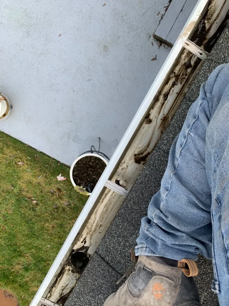 Trusted lawn care service for outdoor upgrades across Kennewick, WA - Prime Lawn & Home