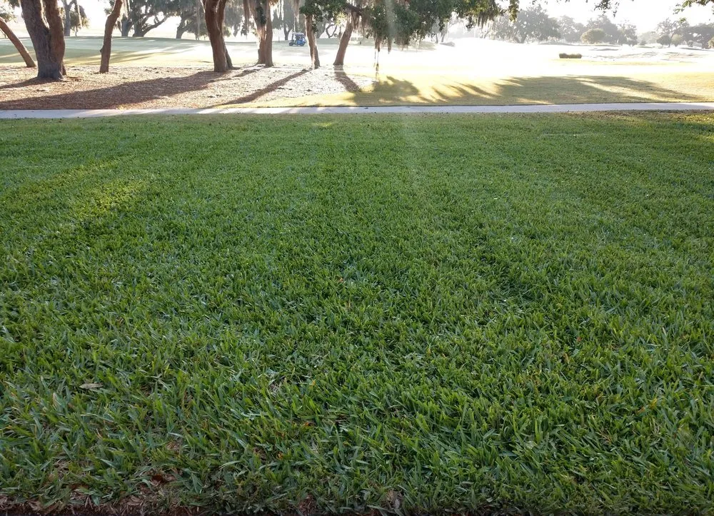 Expert lawn mowing service for residential properties in Summerfield, FL by Prime Lawn & Landscaping