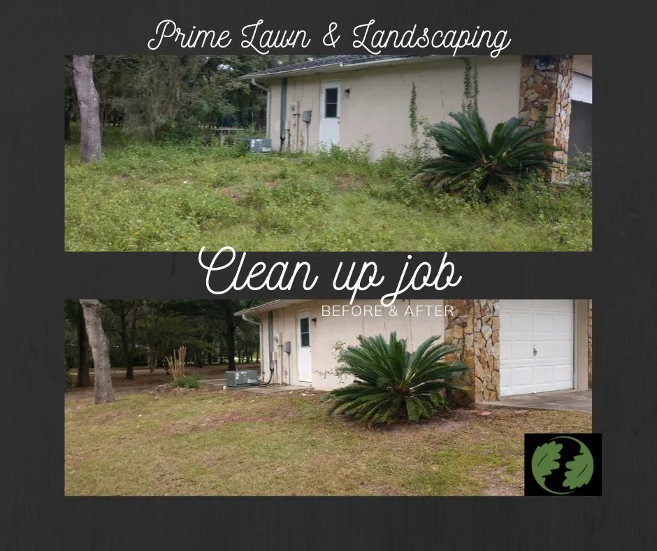 Professional landscape installation in Summerfield, FL - Prime Lawn & Landscaping