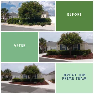 Top-rated landscape design in Summerfield, FL - Prime Lawn & Landscaping
