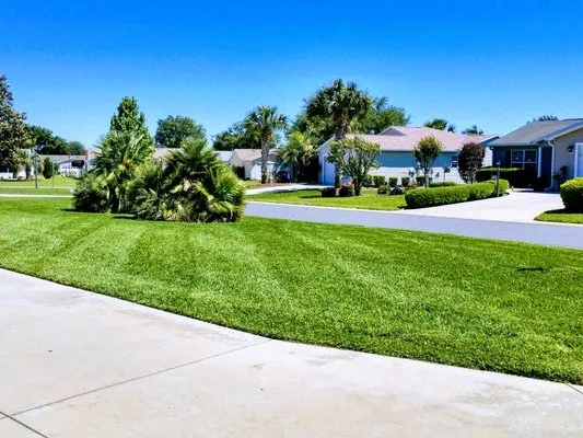 Prime Lawn & Landscaping Logo