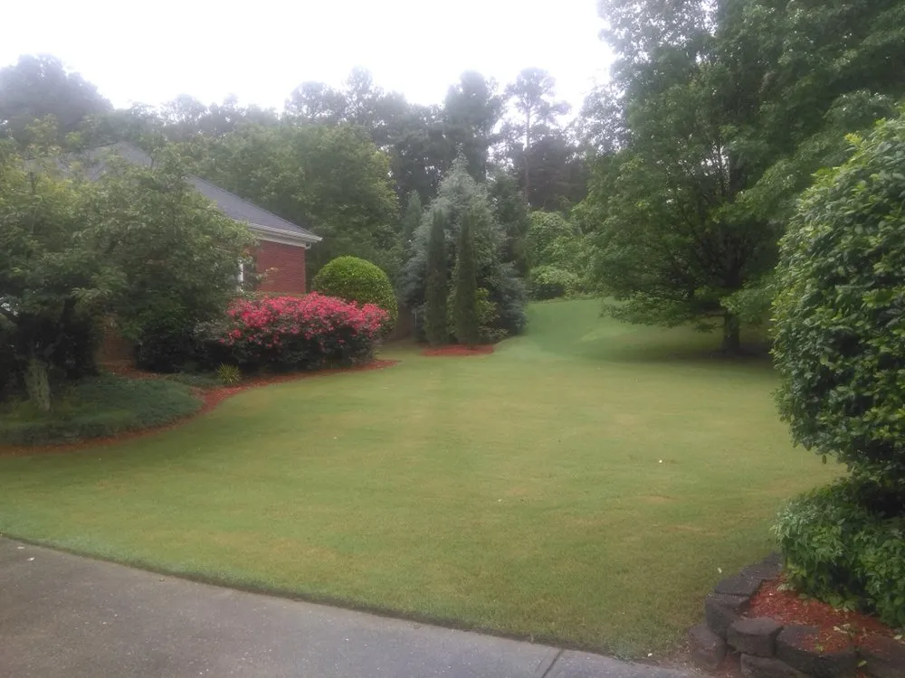 Professional yard cleanup service experts serving Bethlehem, GA - Prime Lawn