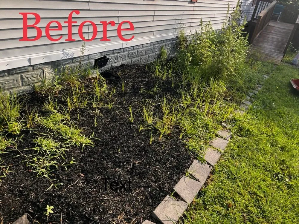 Top-rated lawn care service experts serving Irvine, KY - Prime Lawn Care & Landscape