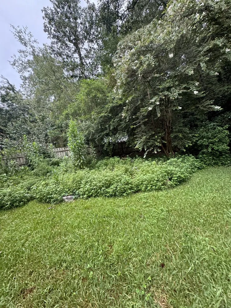 Reliable residential landscaping with custom design in Eastover, SC by Prime Lawn Care and Landscaping