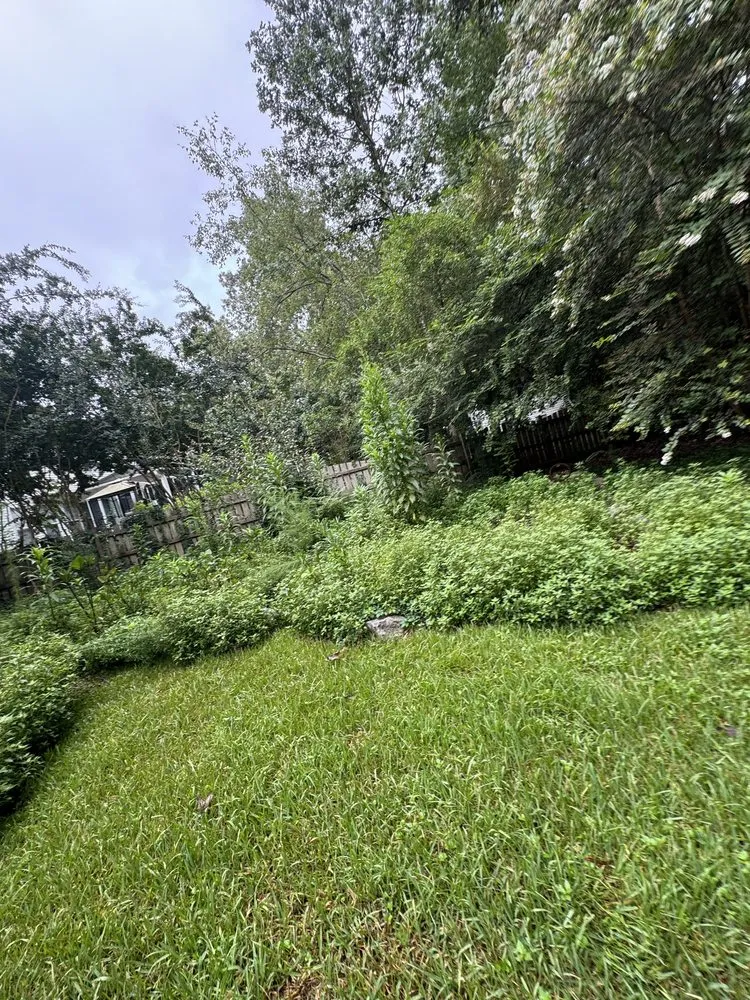 Affordable yard cleanup service for residential properties in Eastover, SC by Prime Lawn Care and Landscaping