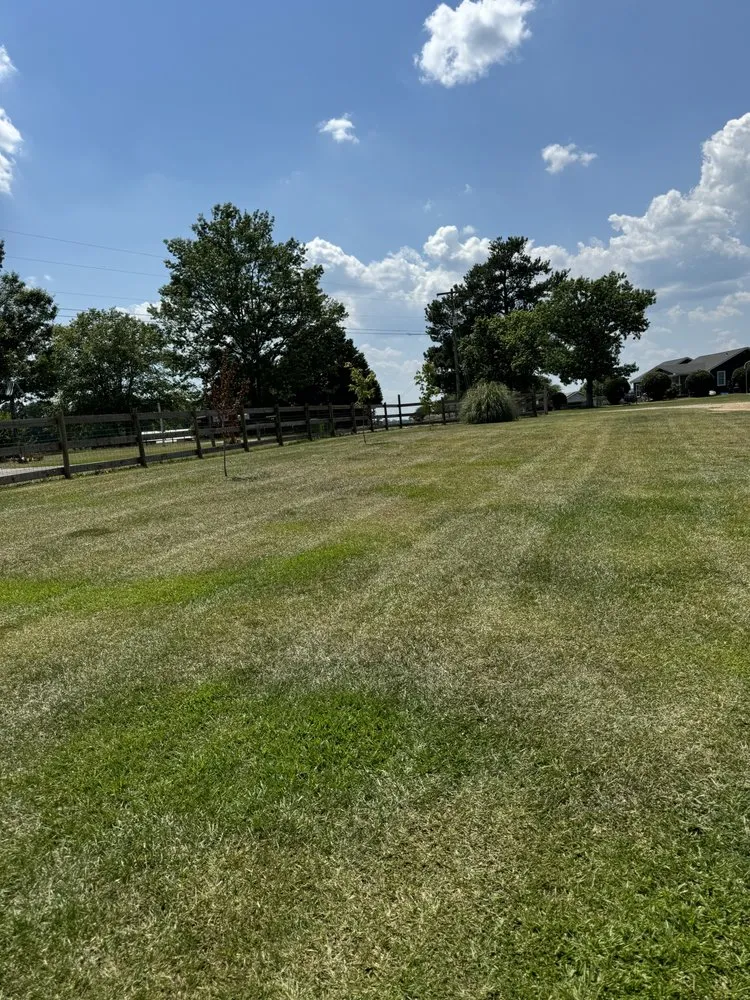 Custom yard cleanup service in Eastover, SC by Prime Lawn Care and Landscaping