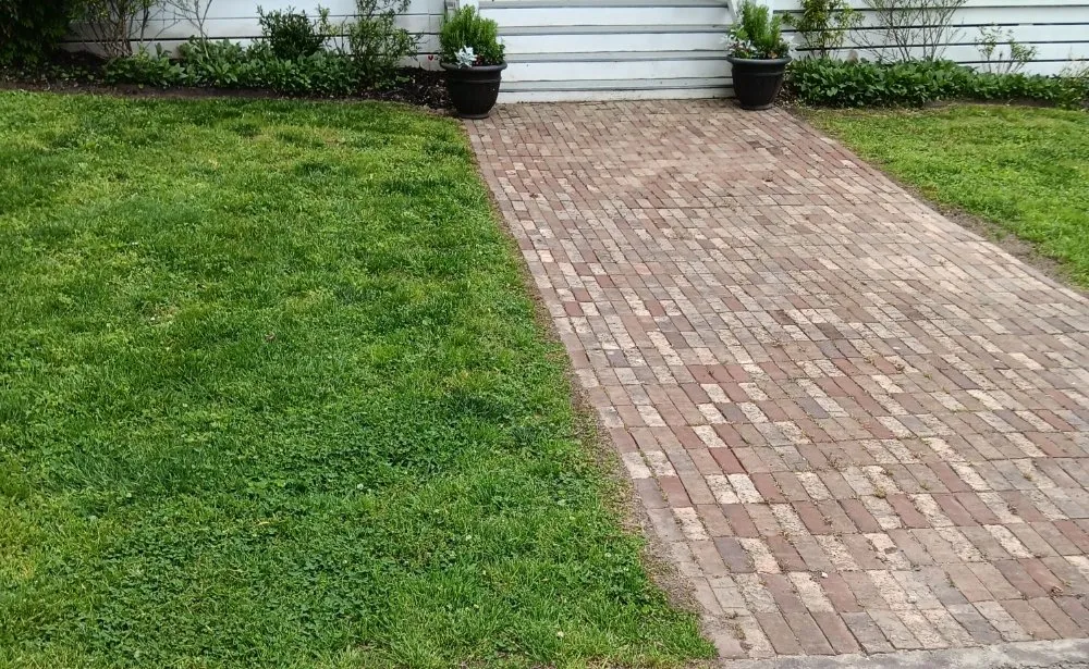 Reliable lawn care service near you across Gainesville, GA - Prime Lawn Care