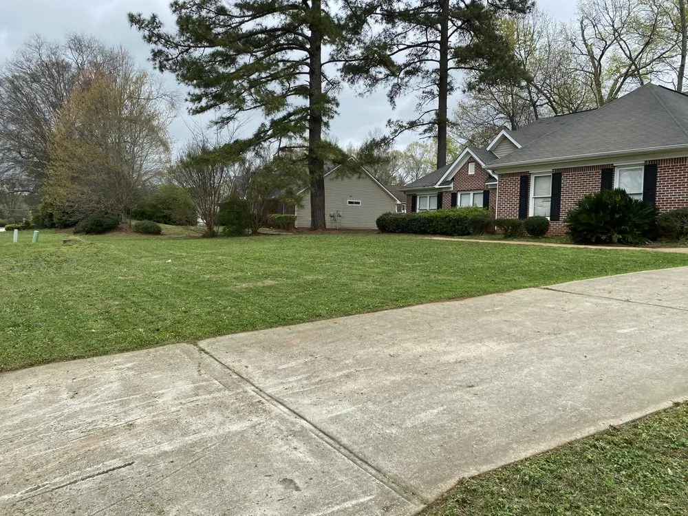 Local landscape design for beautiful yards in Covington, GA by Prime Lawn Care Solutions