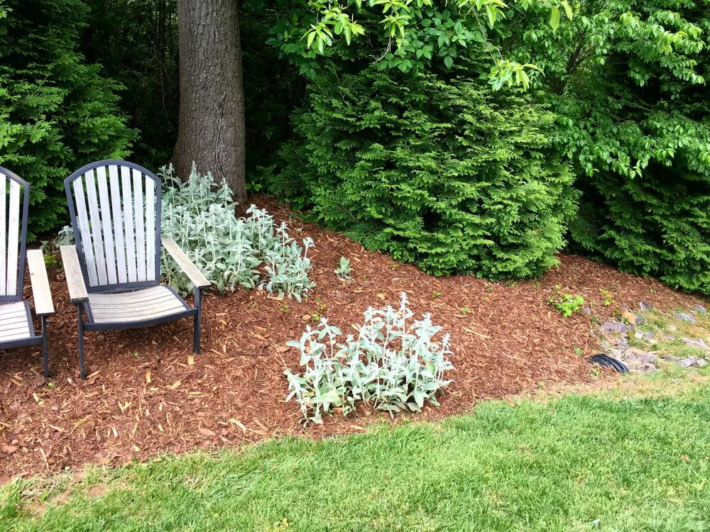 Custom lawn mowing service for residential properties in Candler, NC by Prime Lawn Services