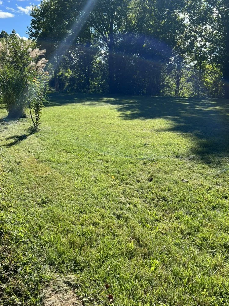 Trusted residential landscaping near you across Candler, NC - Prime Lawn Services