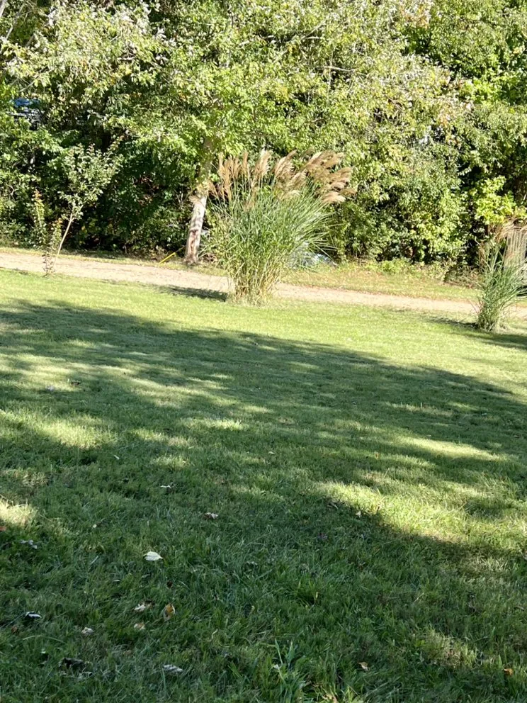 Professional yard cleanup service for year-round maintenance in Candler, NC by Prime Lawn Services