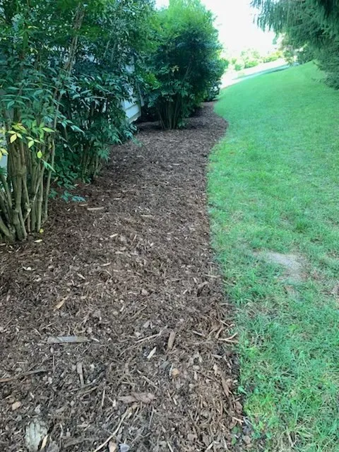 Professional yard maintenance for residential properties across Candler, NC - Prime Lawn Services