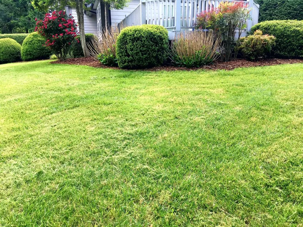 Top-rated landscape design in Candler, NC by Prime Lawn Services