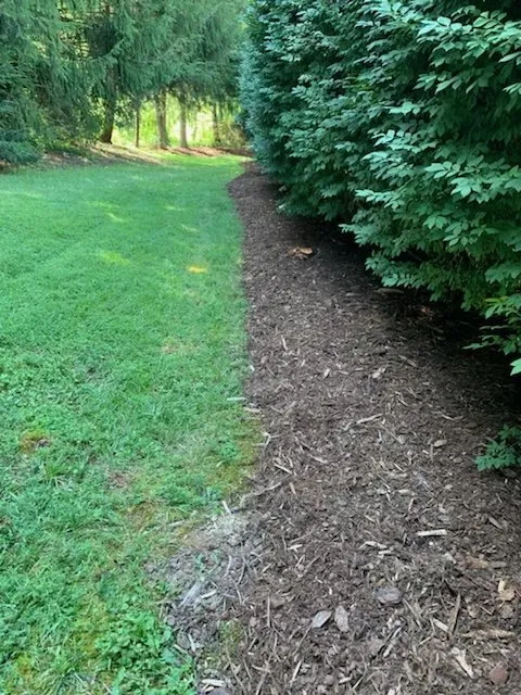 Custom residential landscaping in Candler, NC - Prime Lawn Services