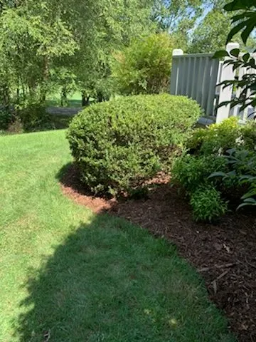 Affordable yard cleanup service near you across Candler, NC - Prime Lawn Services