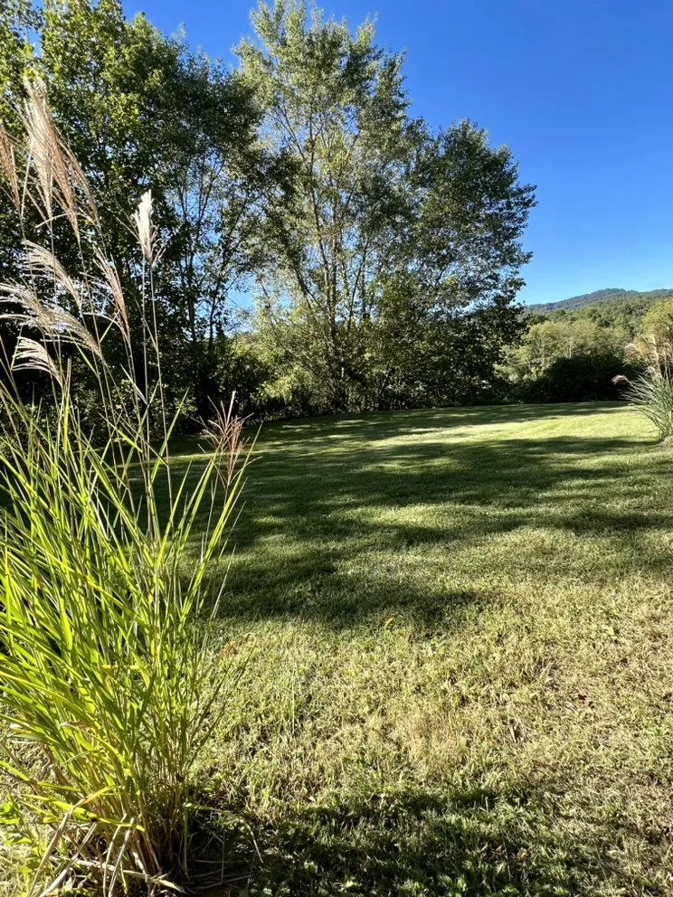 Affordable landscape design experts serving Candler, NC - Prime Lawn Services