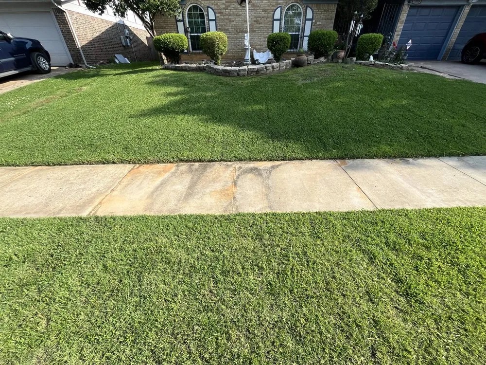 Local yard maintenance experts serving Bedford, TX - Prime Lawncare