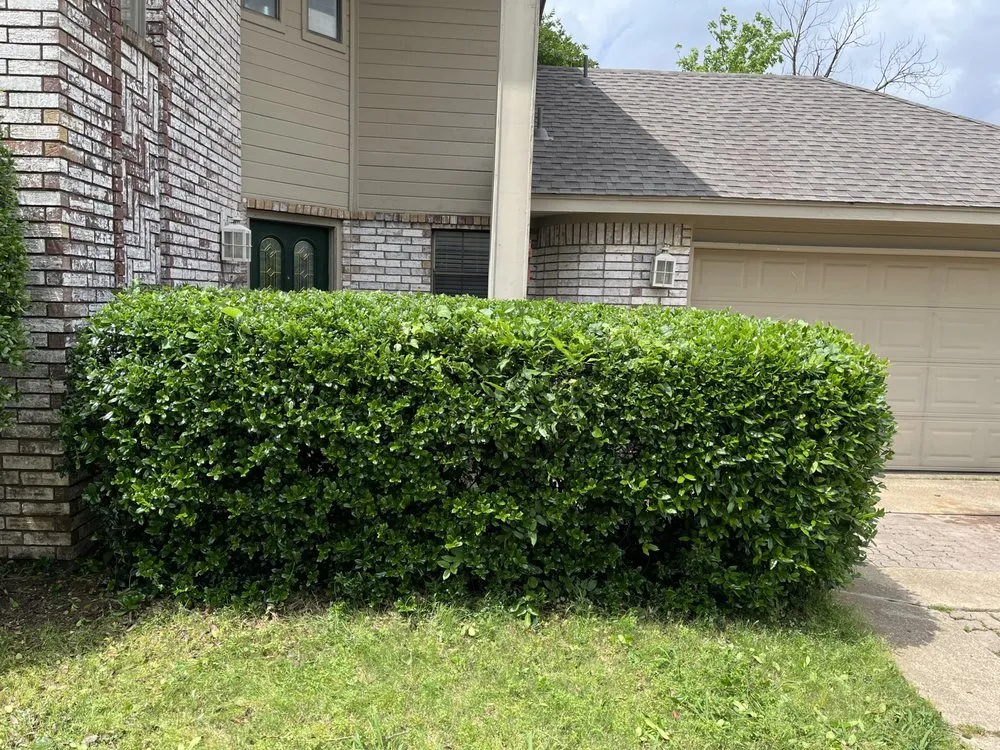 Professional landscape design experts serving Bedford, TX - Prime Lawncare