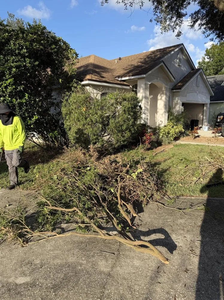 Professional landscaping services in Sanford, FL - Prime Outdoor Experts