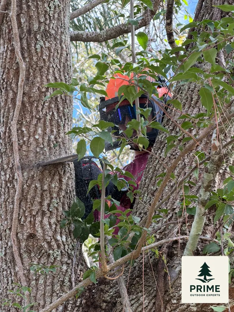 Reliable landscaping services experts serving Sanford, FL - Prime Outdoor Experts