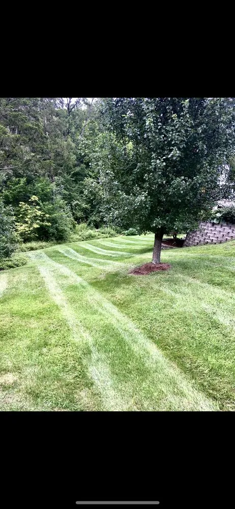 Professional landscaping services near you in Union, MO by Prime Professional Services