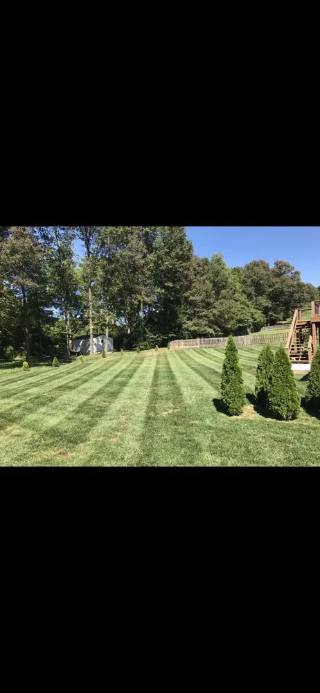 Affordable landscaping services experts serving Union, MO - Prime Professional Services