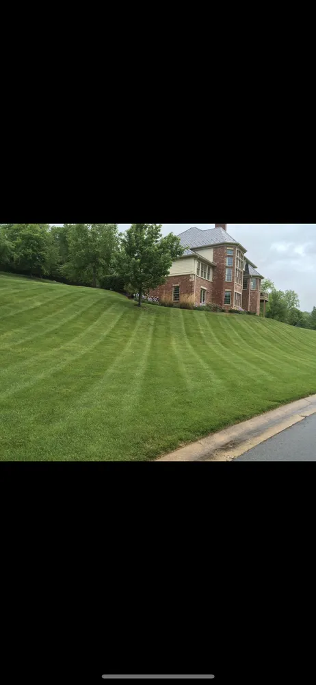 Trusted yard cleanup service for residential properties in Union, MO by Prime Professional Services