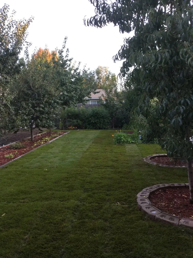 Affordable lawn care service for beautiful yards in Boise City, ID by Prime Property Care