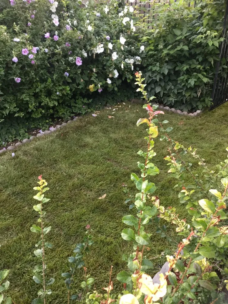 Professional residential landscaping experts serving Boise City, ID - Prime Property Care