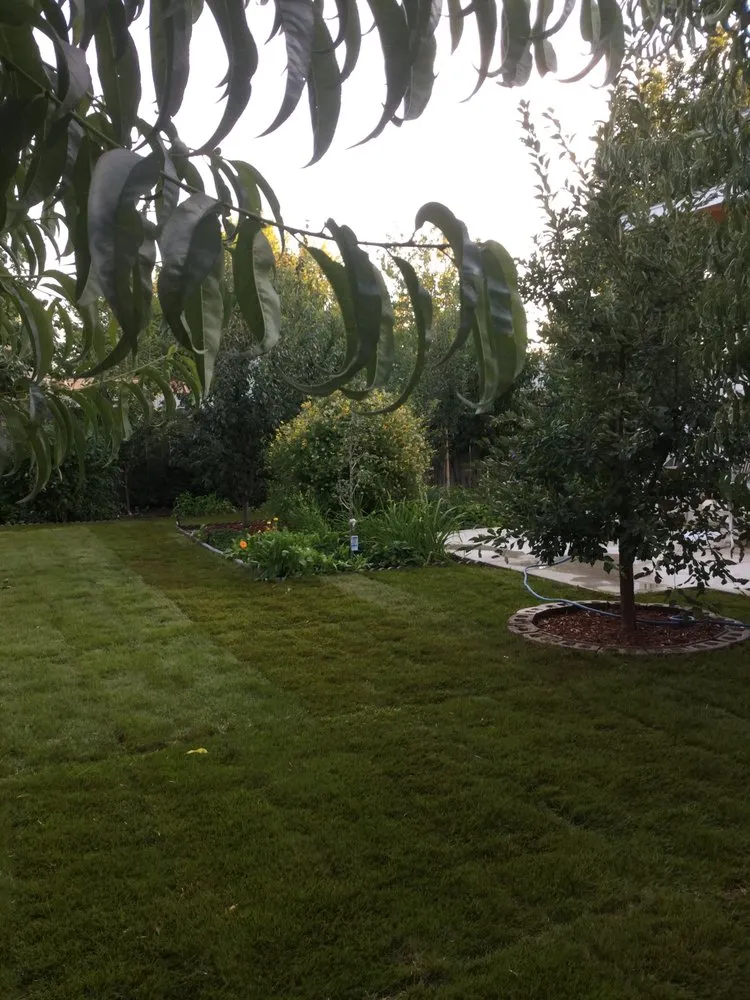 Trusted garden landscaping with custom design in Boise City, ID by Prime Property Care