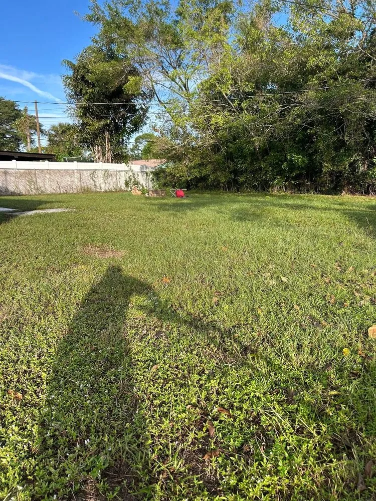 Expert yard maintenance for beautiful yards in Miami Gardens, FL by Prime Property Care Group