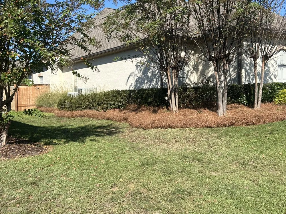 Custom landscape installation for beautiful yards in Lake, MS by Prime Property Care