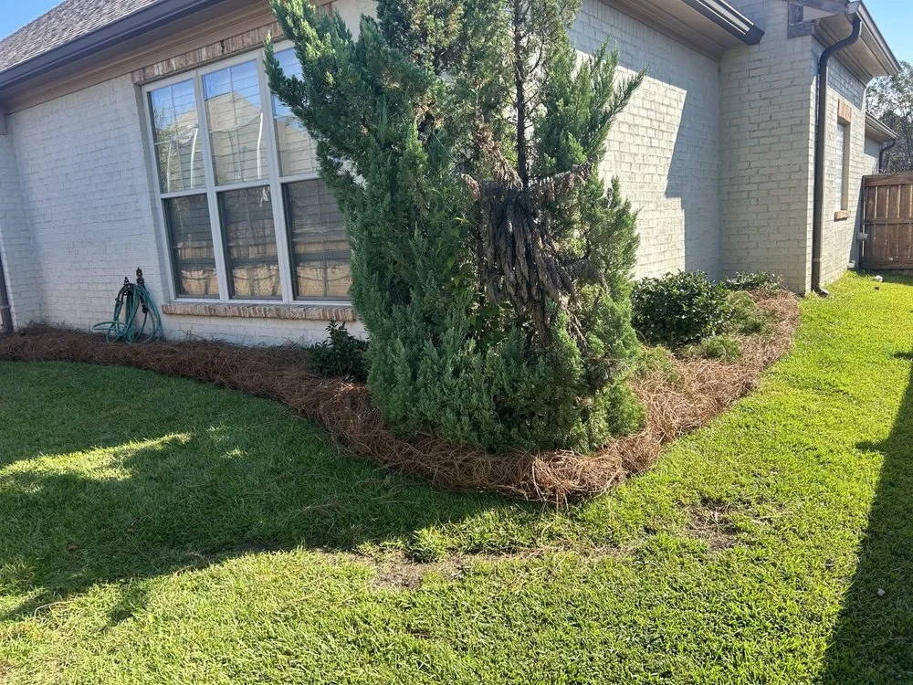 Expert yard maintenance in Lake, MS by Prime Property Care
