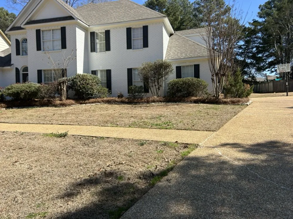 Local landscape installation for beautiful yards across Lake, MS - Prime Property Care