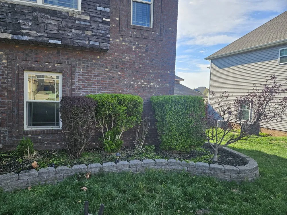 Reliable yard maintenance in Clarksville, TN by Prime Property Experts