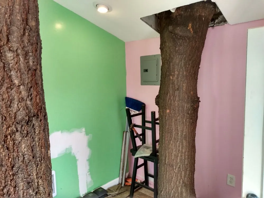 Expert yard maintenance in Smyrna, DE by Prime Property Maintenance